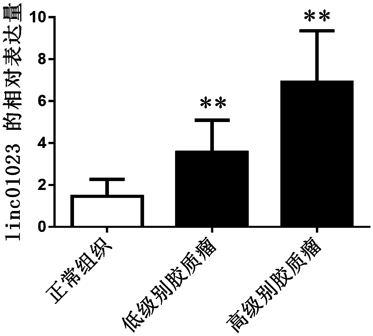 Inhibitor for inhibiting targeting linc01023 gene of human brain glioma and application of inhibitor