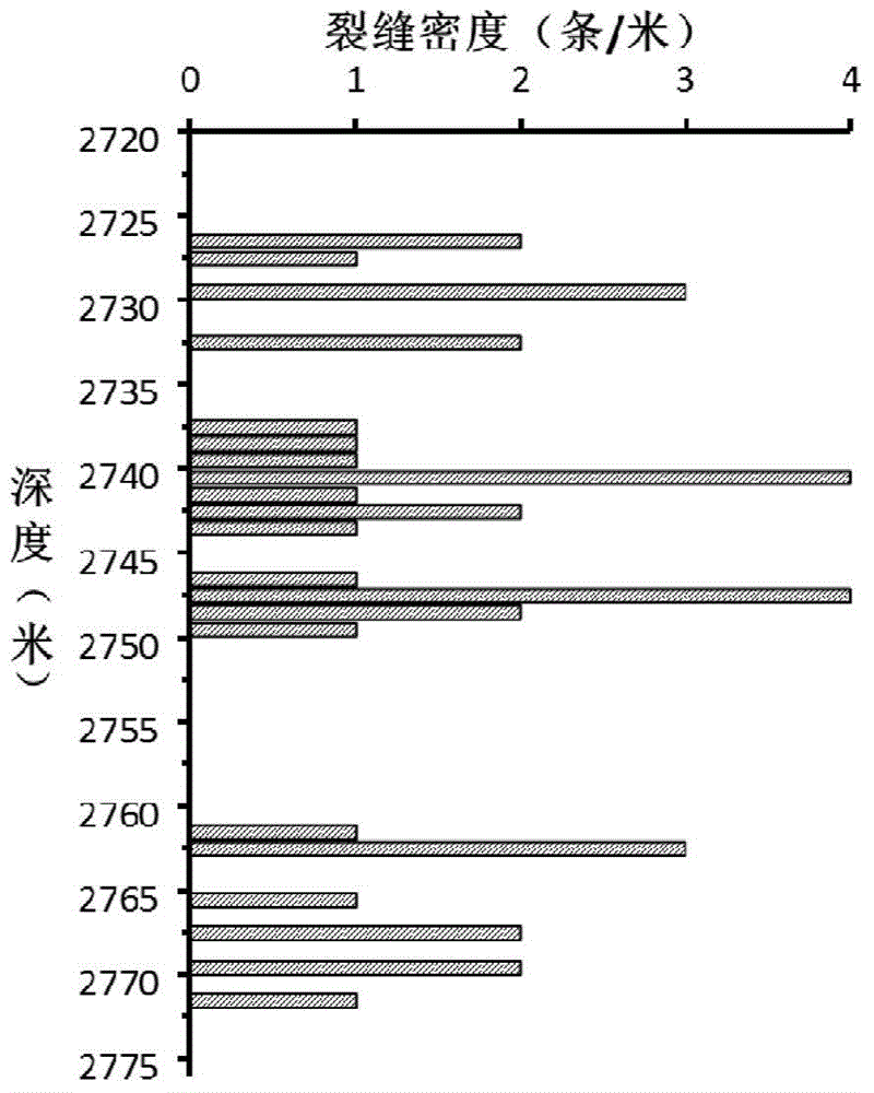 Method and device for volcanic rock crack quantitative prediction