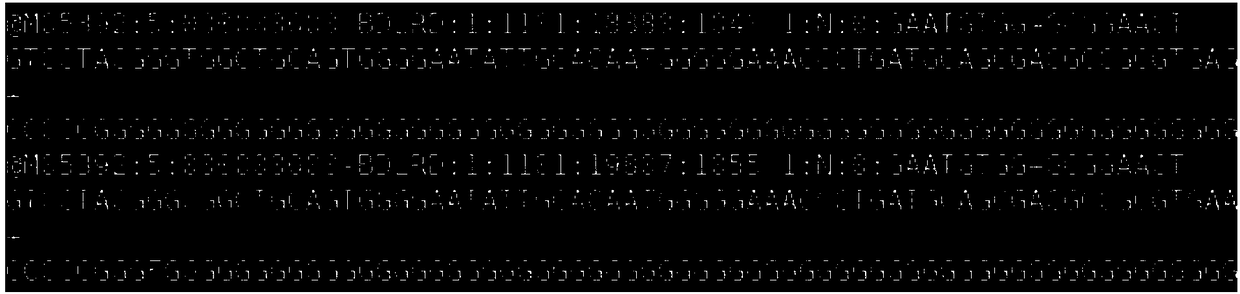 Automatic analysis method of biodiversity