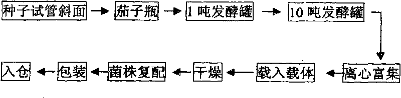 Bacillus combination preparation liquid fermentation production method