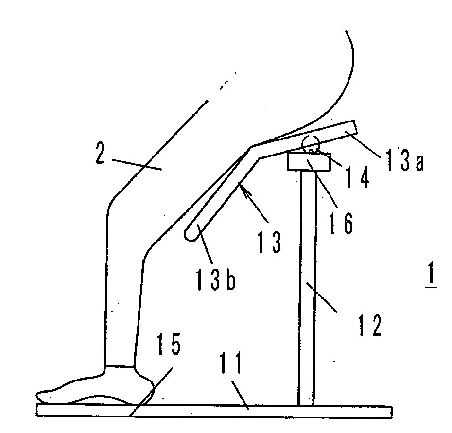 Exercise assisting apparatus