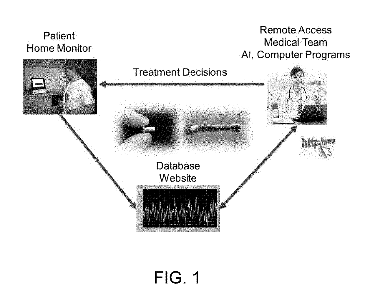 System and method for monitoring physiological parameters within living bodies