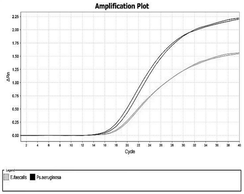 Dual fluorescent quantitative PCR (polymerase chain reaction) detection method and kit for two pathogenic bacteria in prepackaged drinking water