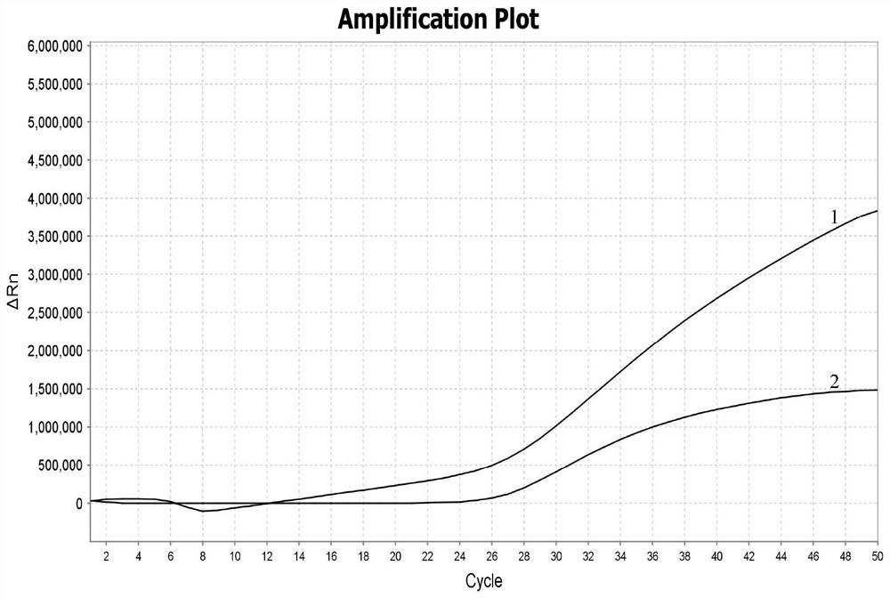 Dual fluorescent quantitative PCR (polymerase chain reaction) detection method and kit for two pathogenic bacteria in prepackaged drinking water