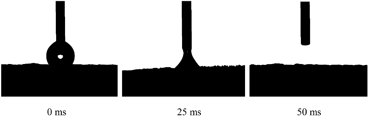 Preparation method of sponge with pore diameter adjusted and controlled by paper fiber for oil and water separation