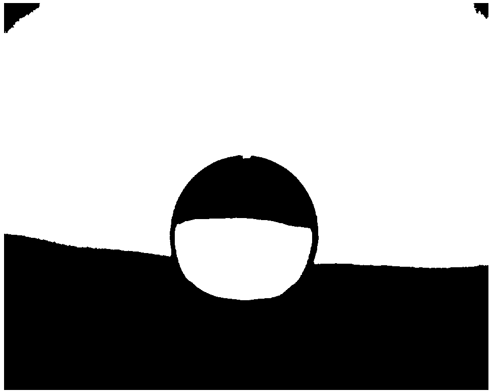 Preparation method of sponge with pore diameter adjusted and controlled by paper fiber for oil and water separation