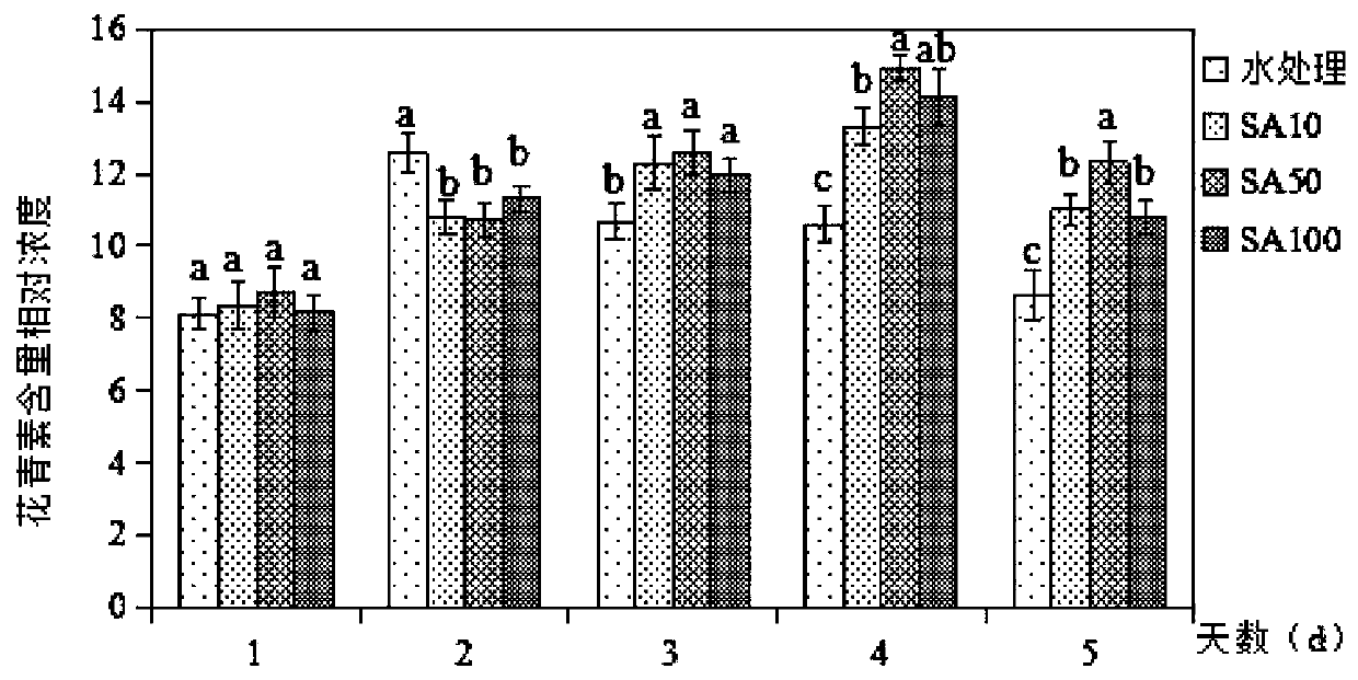 Fresh-keeping method of living Chinese toon buds through salicylic acid solution treatment