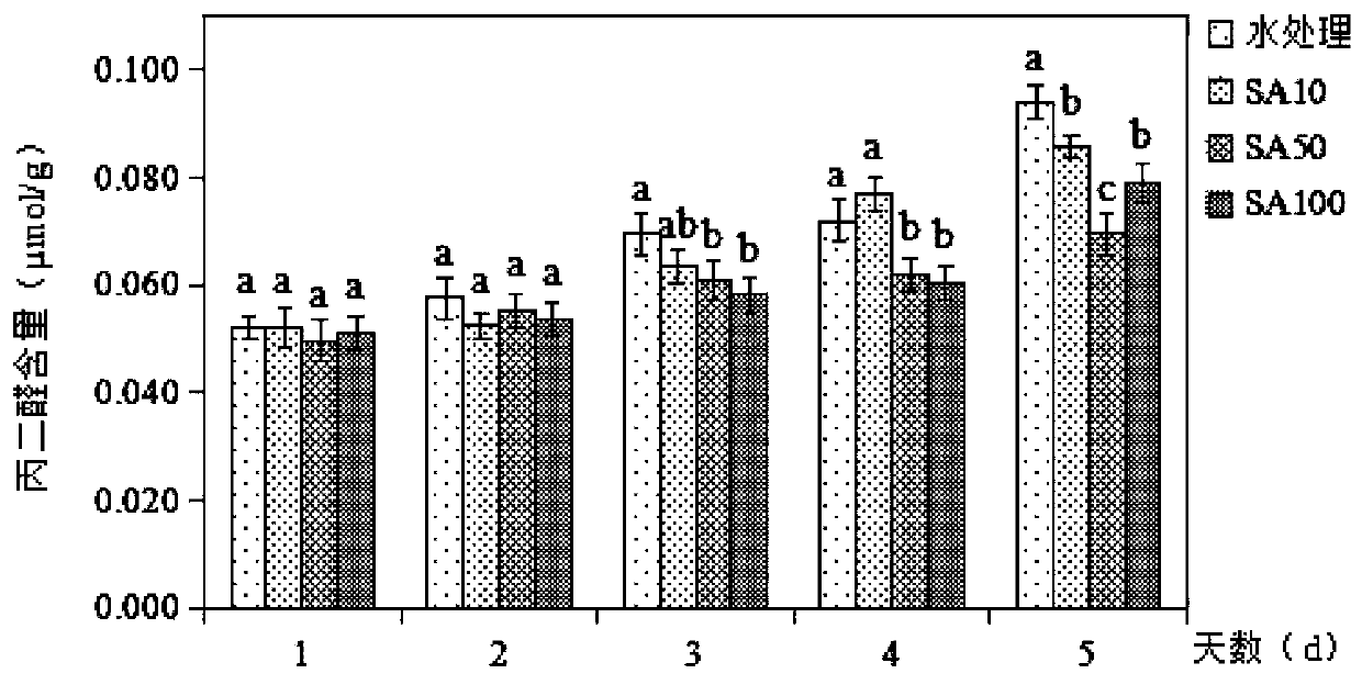 Fresh-keeping method of living Chinese toon buds through salicylic acid solution treatment