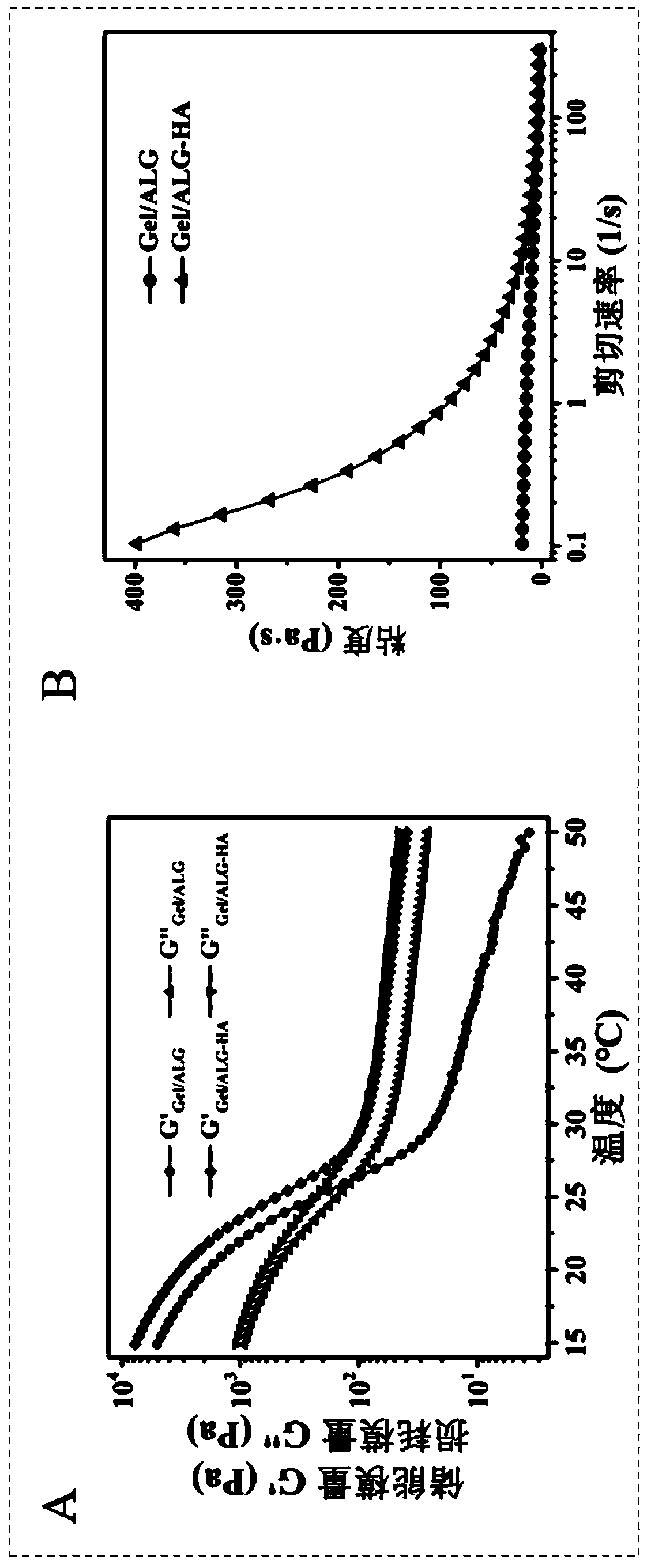 Biomimetic hydroxylapatite powder/gelatin/sodium alginate composite 3D print bracket and preparation method thereof