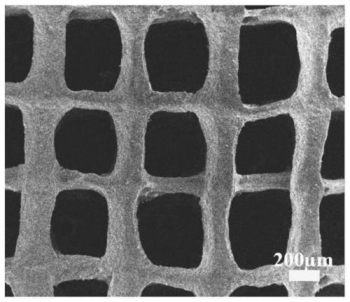 Biomimetic hydroxylapatite powder/gelatin/sodium alginate composite 3D print bracket and preparation method thereof