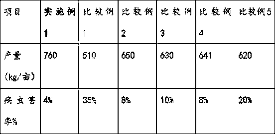 Rice hull char-based fertilizer, and preparation method and application thereof in rice planting