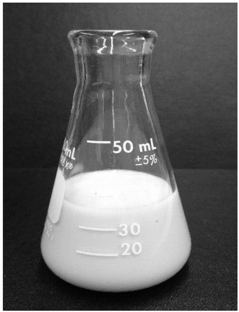 Nano fishbone product as well as preparation method and application of nano fishbone product