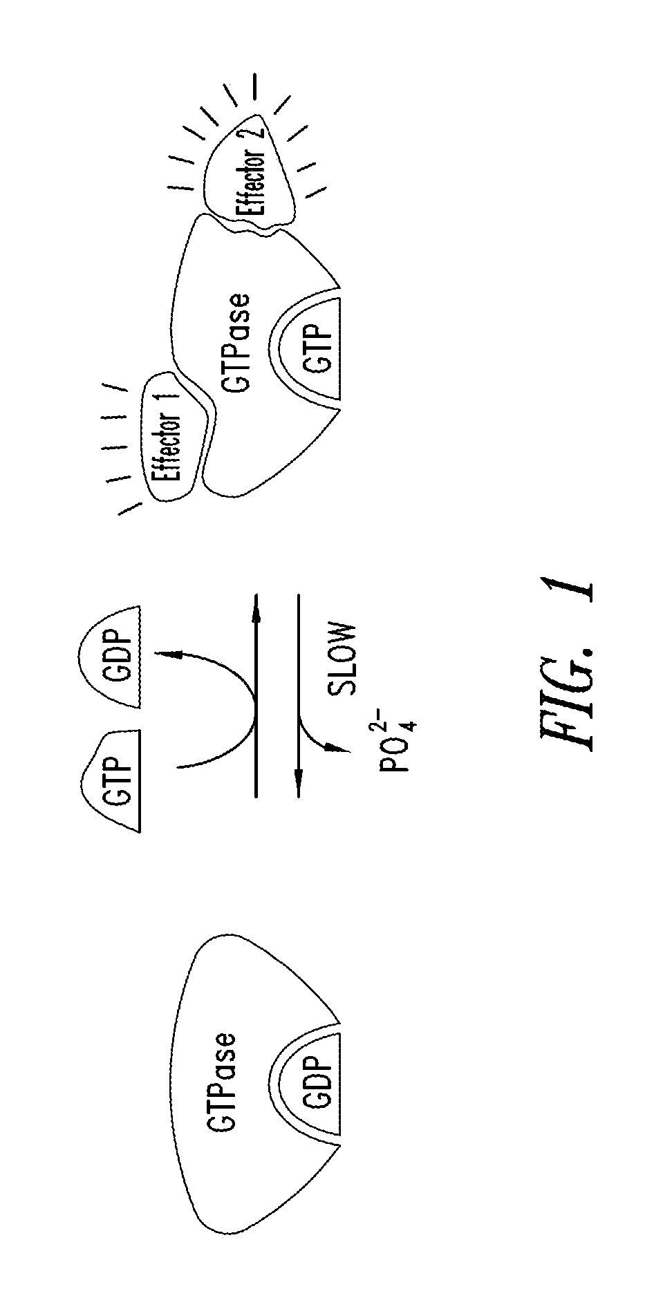 Inhibitors of kras g12c mutant proteins