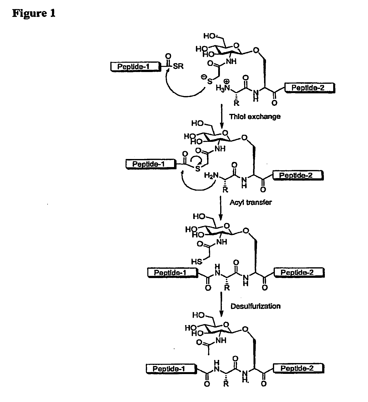 Method of preparing glycopeptides