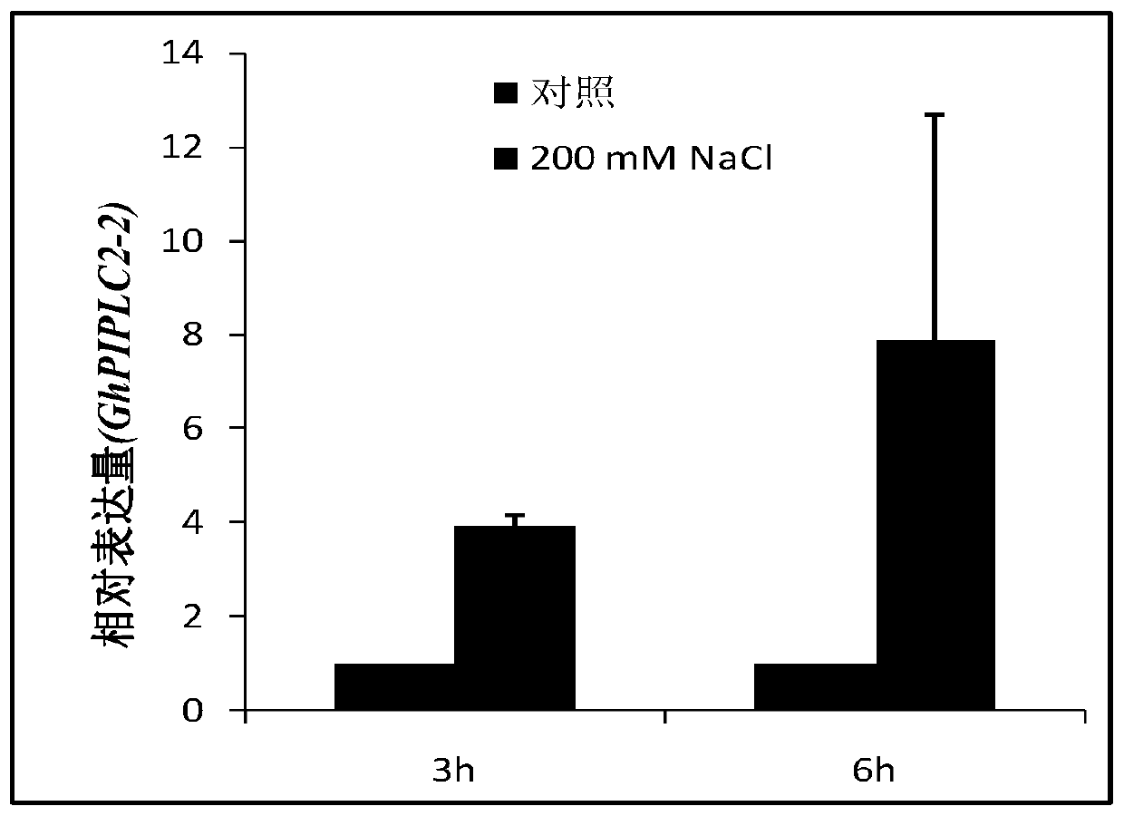 Upland cotton phosphatidylinositol specific phospholipase C gene GhPIPLC2-2 and application thereof