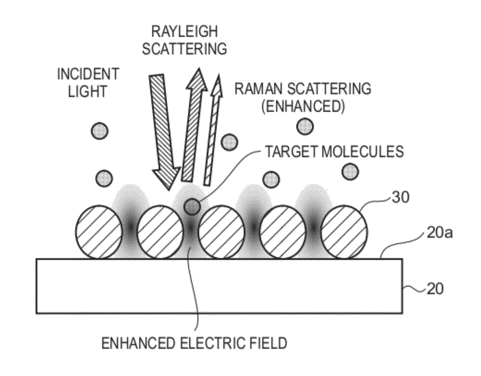 Sensor chip, detection device, and method of manufacturing sensor chip