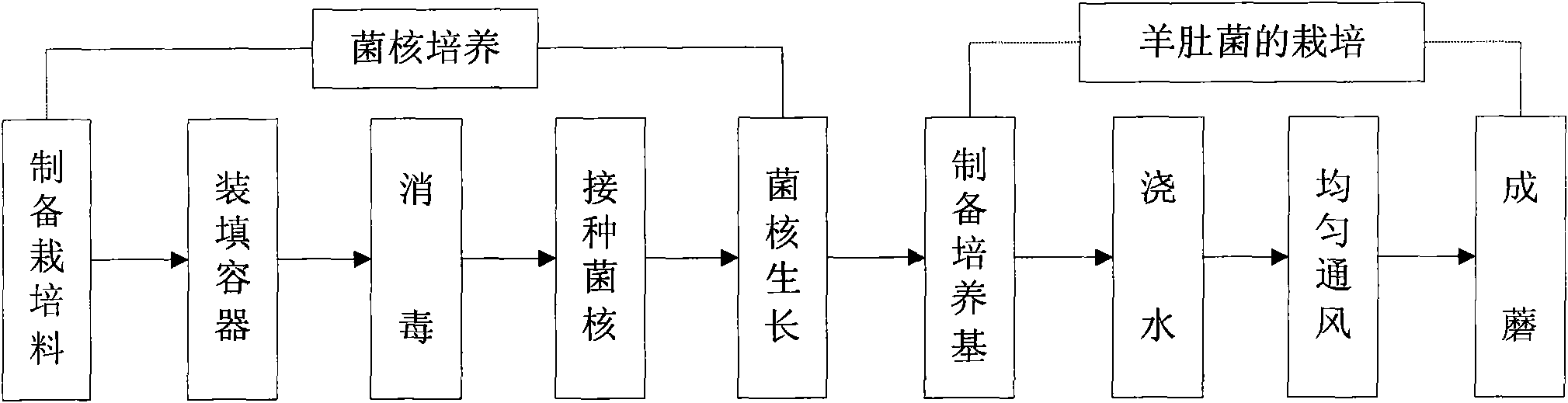 Morel indoor cultivation method and greenhouse thereof