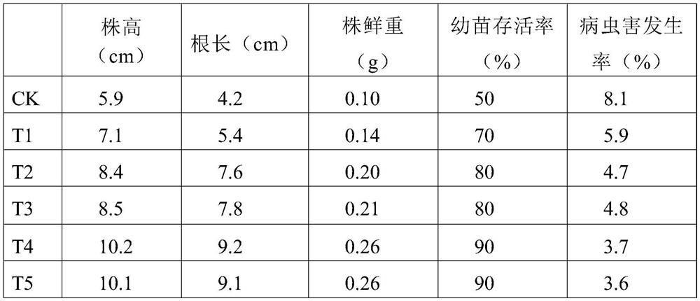 Mycorrhizal inoculant and preparation method thereof