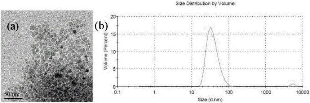 Preparation of photothermal diagnosis and treatment agent based on gadolinium modified Fe3O4@ PDA nano material