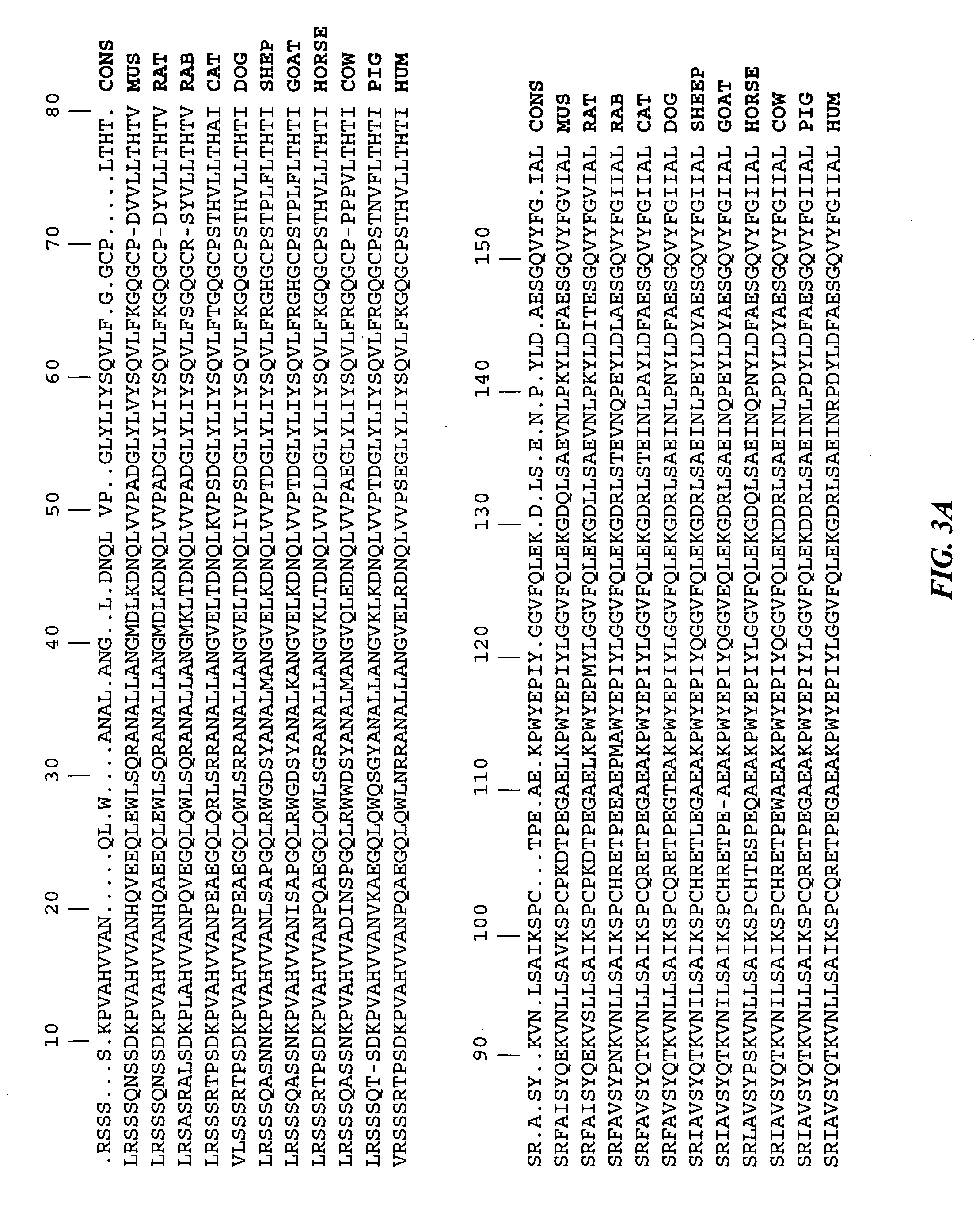 Method for enhancing immune responses in mammals