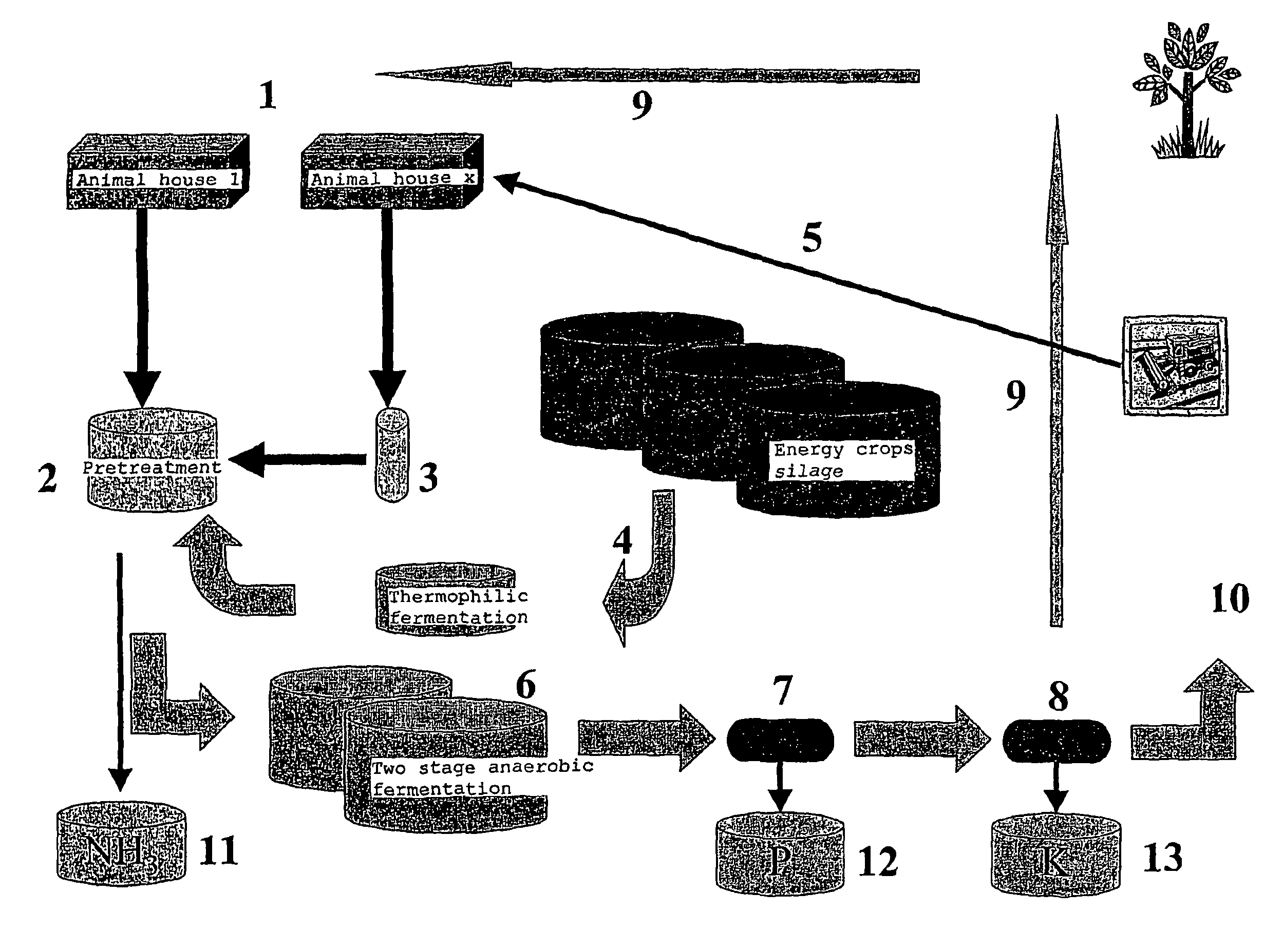 Concept for slurry separation and biogas production