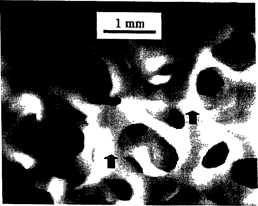 Preparation method of beta-TCP/11A composite biological material