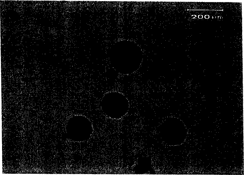 Preparation method of beta-TCP/11A composite biological material