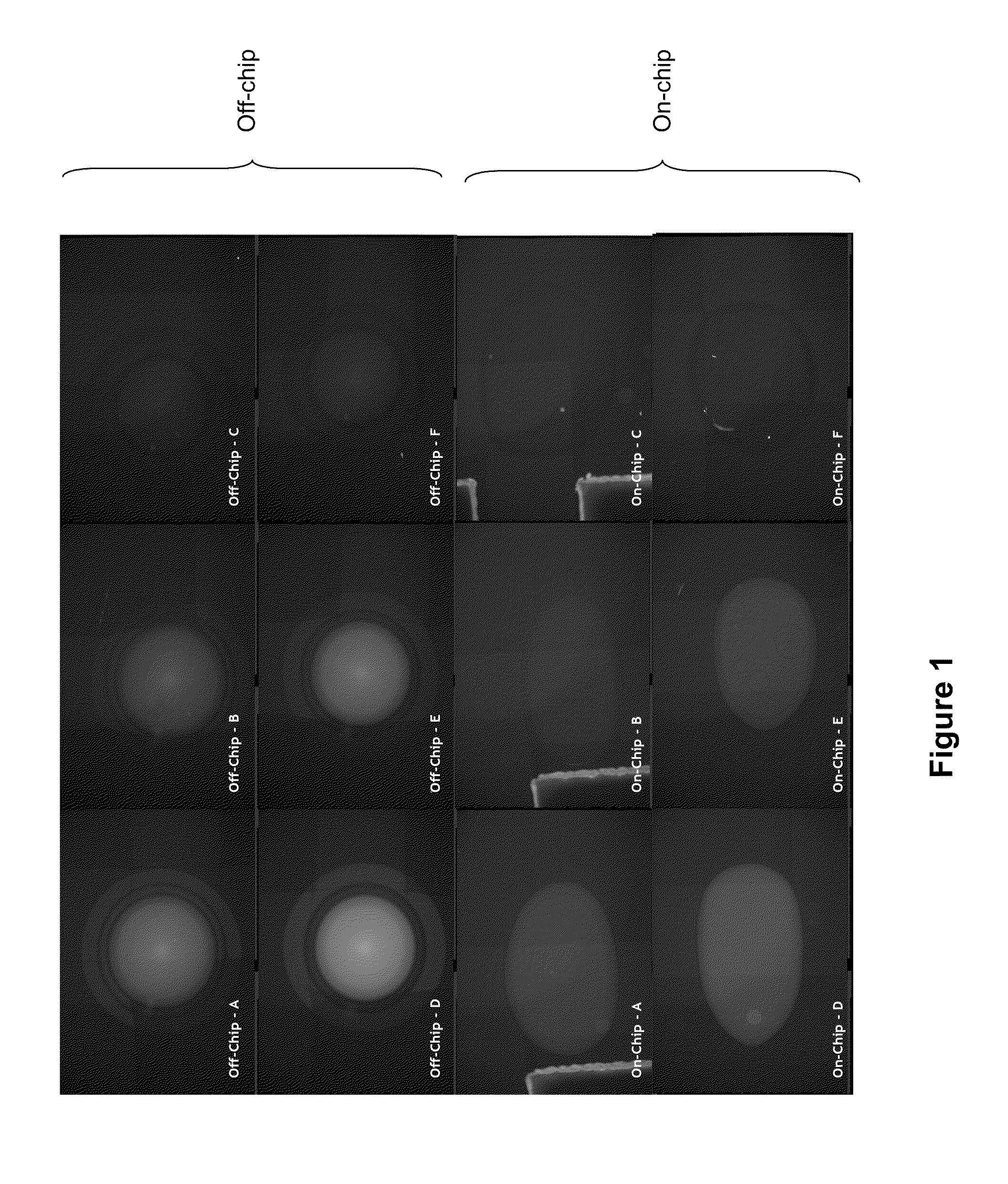 Enzymatic Assays for a Droplet Actuator