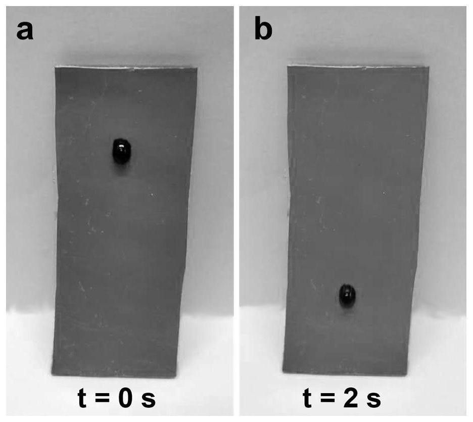 A kind of preparation method of fluorine-containing polyurethane leather waterproof coating