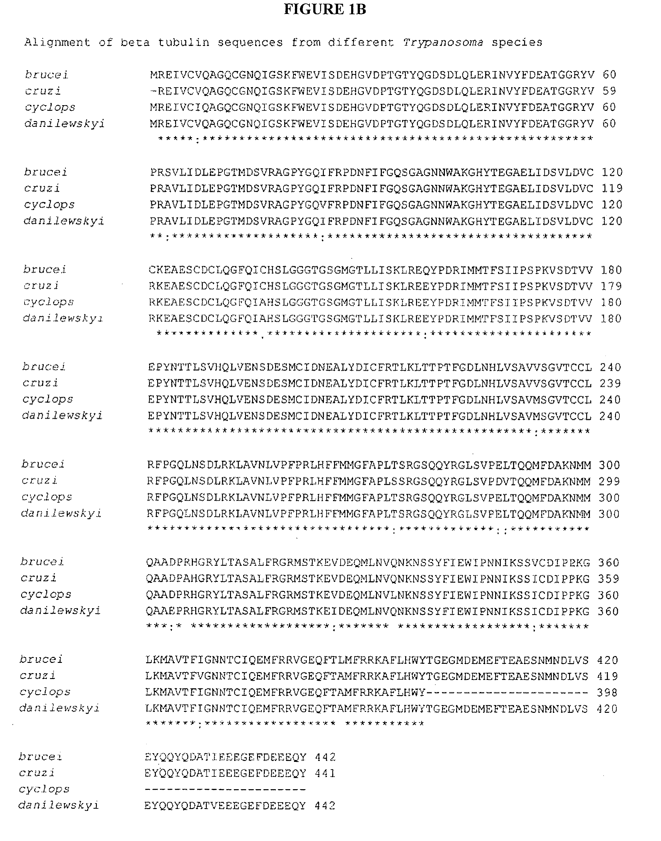 Trypanosoma Antigens, Vaccine Compositions, and Related Methods