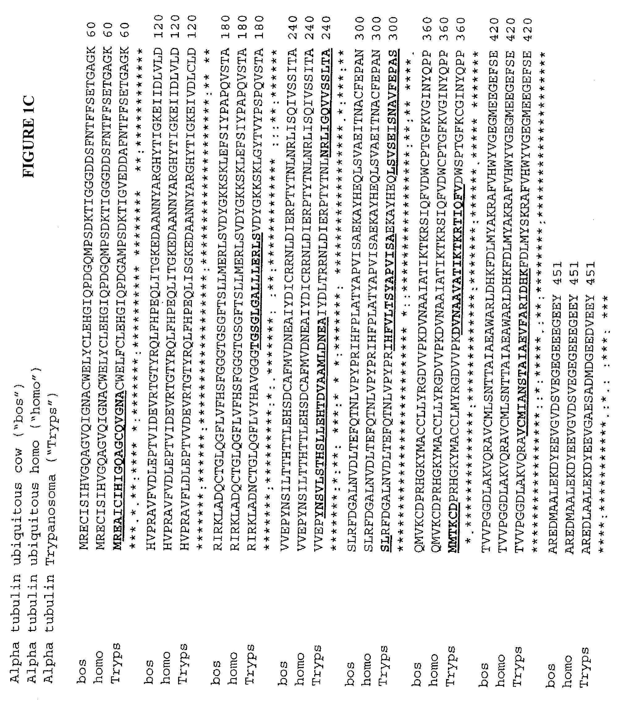 Trypanosoma Antigens, Vaccine Compositions, and Related Methods