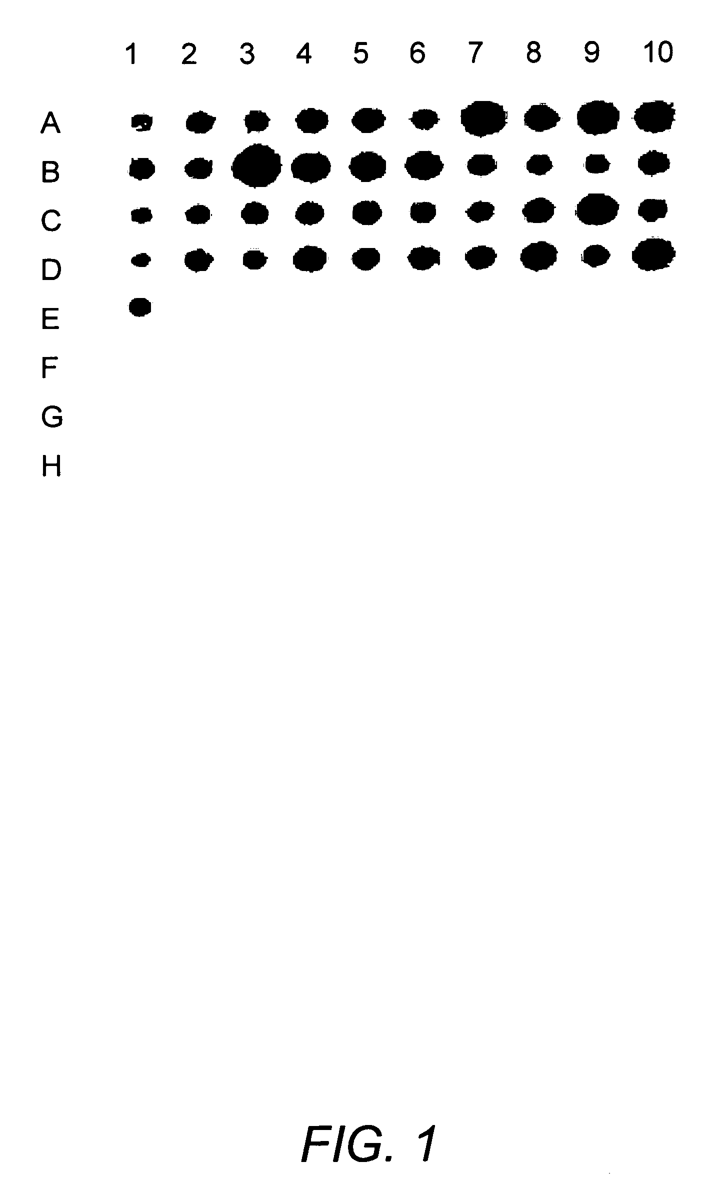 Group B streptococcus polypeptides nucleic acids and therapeutic compositions and vaccines thereof