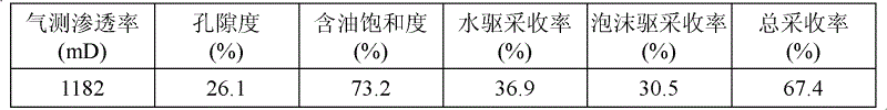 Composite foam flooding method suitable for oil field exploitation