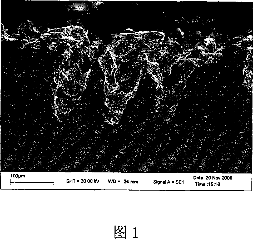 Method for laser in-situ repairing cavitation-vane gas turbine