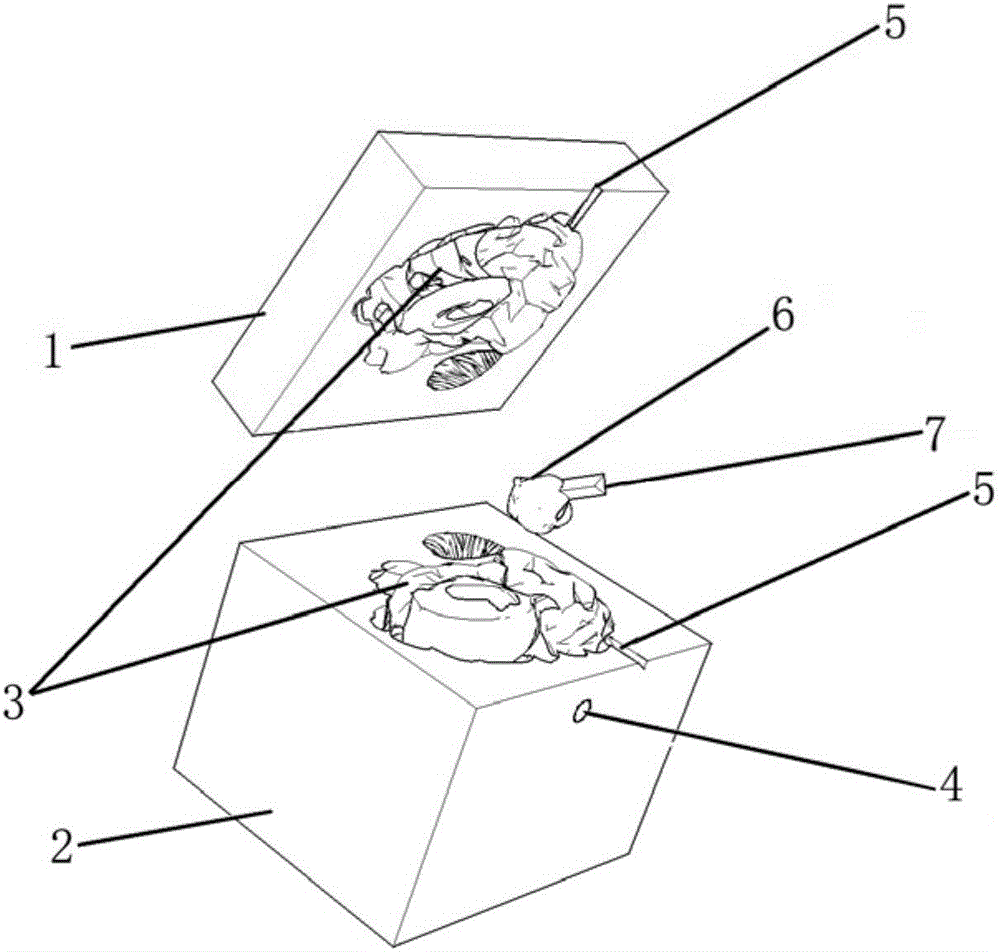 Method for making personalized simulative anatomical model via rapid prototyping technologies