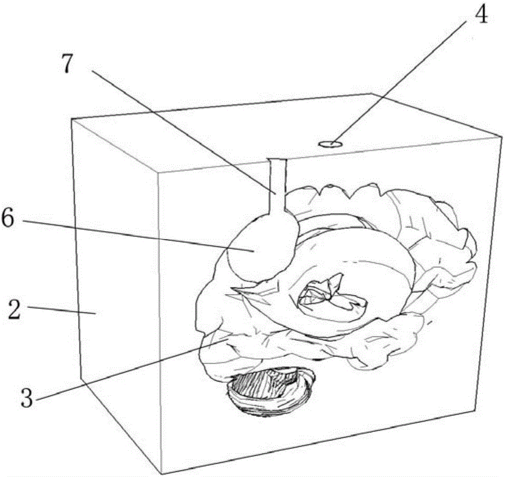 Method for making personalized simulative anatomical model via rapid prototyping technologies