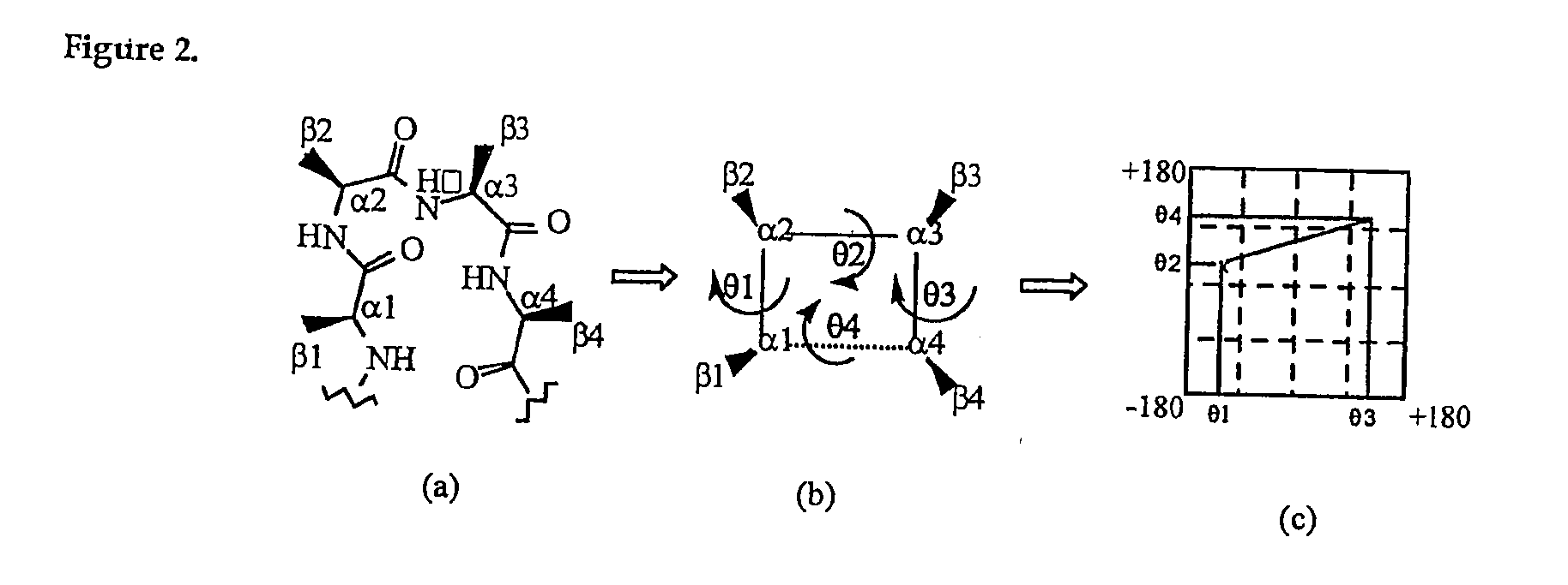 Common protein surface shapes and uses therefor