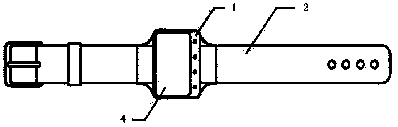 Wrist strap type physiological information monitoring device