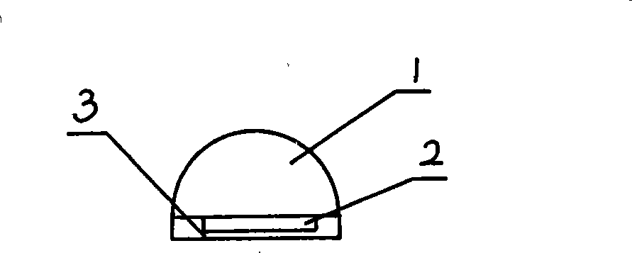 Method for breeding blister pearl using magnetic attractive force to fix bead nuclei