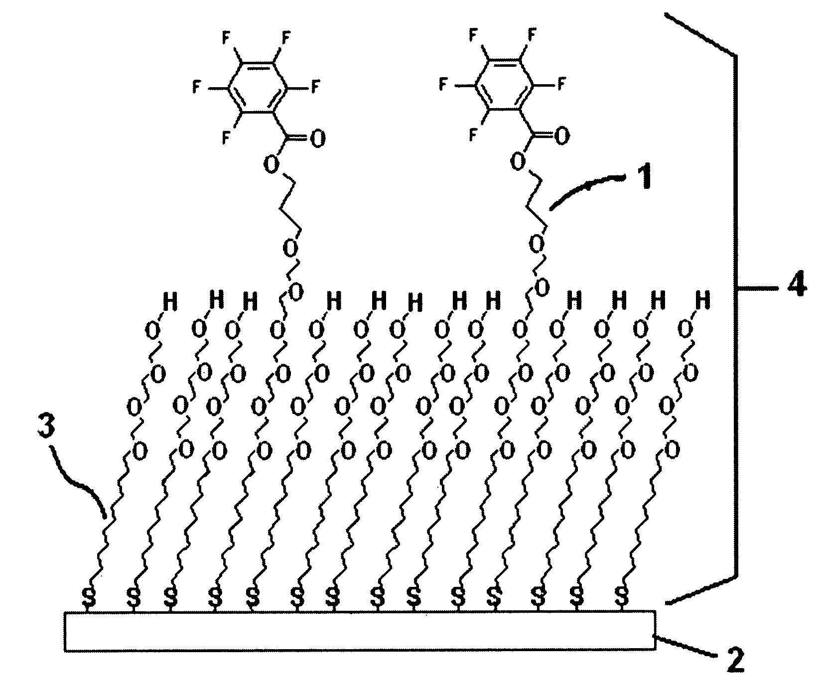 Thiol or disulfide molecules having poly(ethylene oxide) groups for use in a self assembled monolayer bound to a metal layer for covalently immobilizing biomolecules in a biosensor