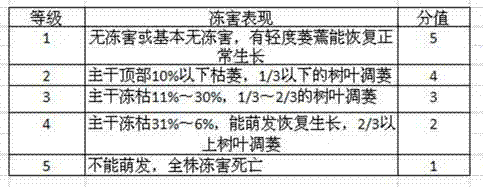 Grade evaluation method for ecological adaptability of afforestation tree species