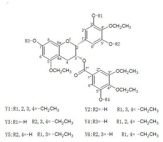 Application of EGCG structure modified derivatives in preparation of blood vessel regulating and controlling medicine