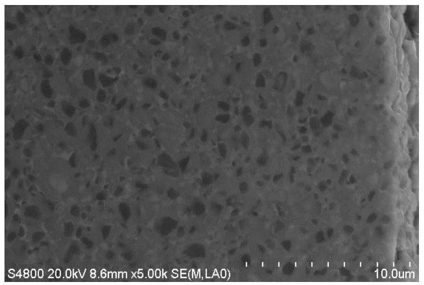 Method for preparing nitrogen-enriched functional gradient metal ceramic by low pressure nitriding method