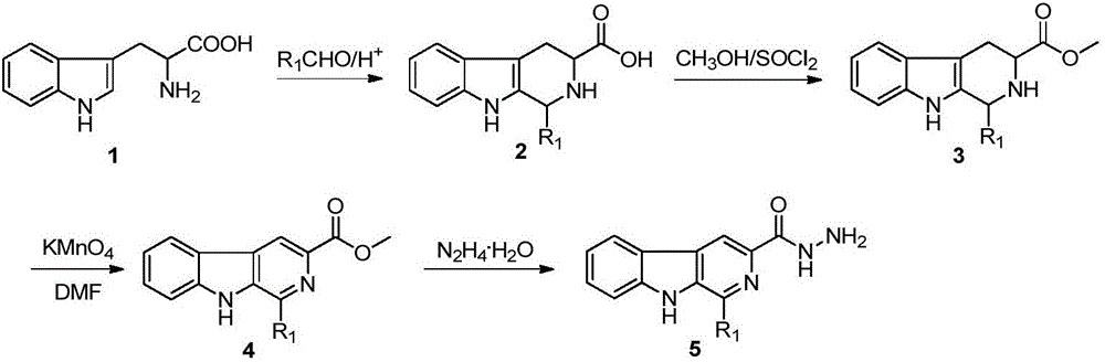 Harmaline oxazoline compound and preparation method and application thereof