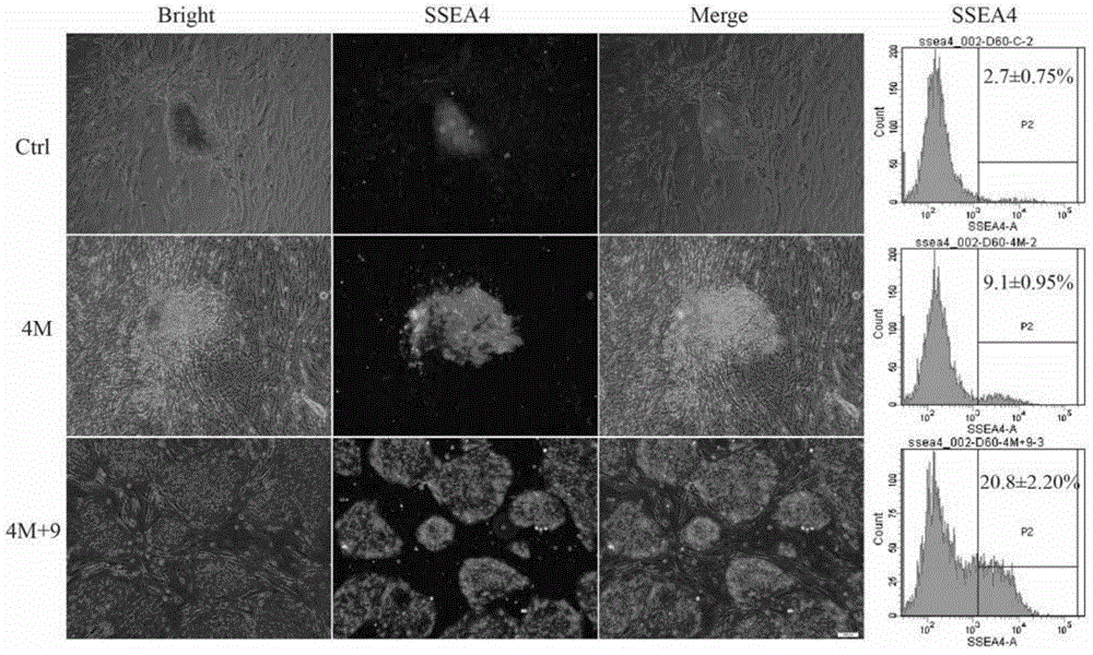 High-efficiency non-integrated human iPSC induction platform