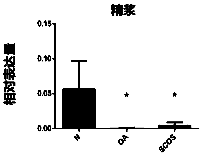 Application of seminal plasma BOLL and reagent kit for diagnosing azoospermia meiosis arrest