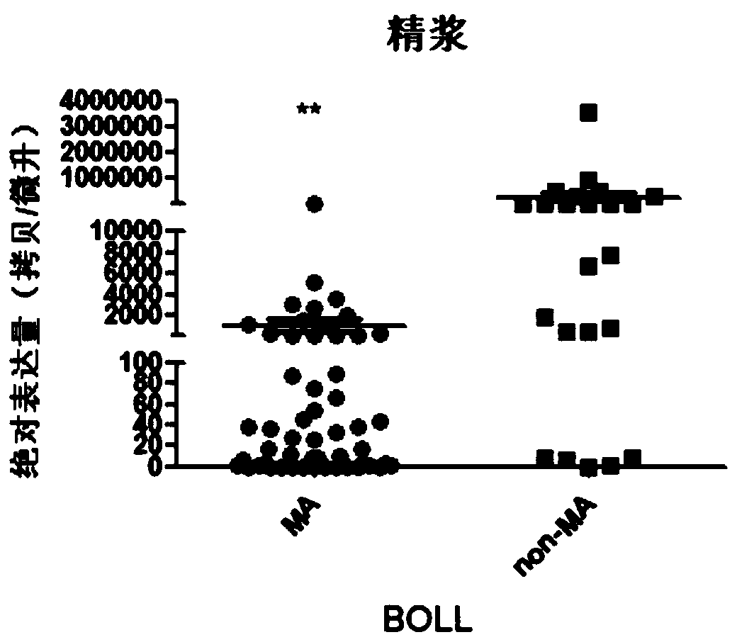 Application of seminal plasma BOLL and reagent kit for diagnosing azoospermia meiosis arrest