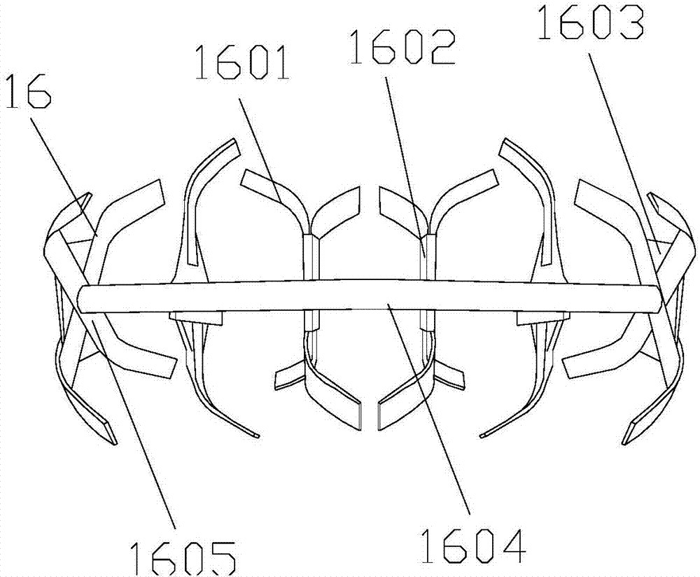 Rotary tillage device for blueberry planting