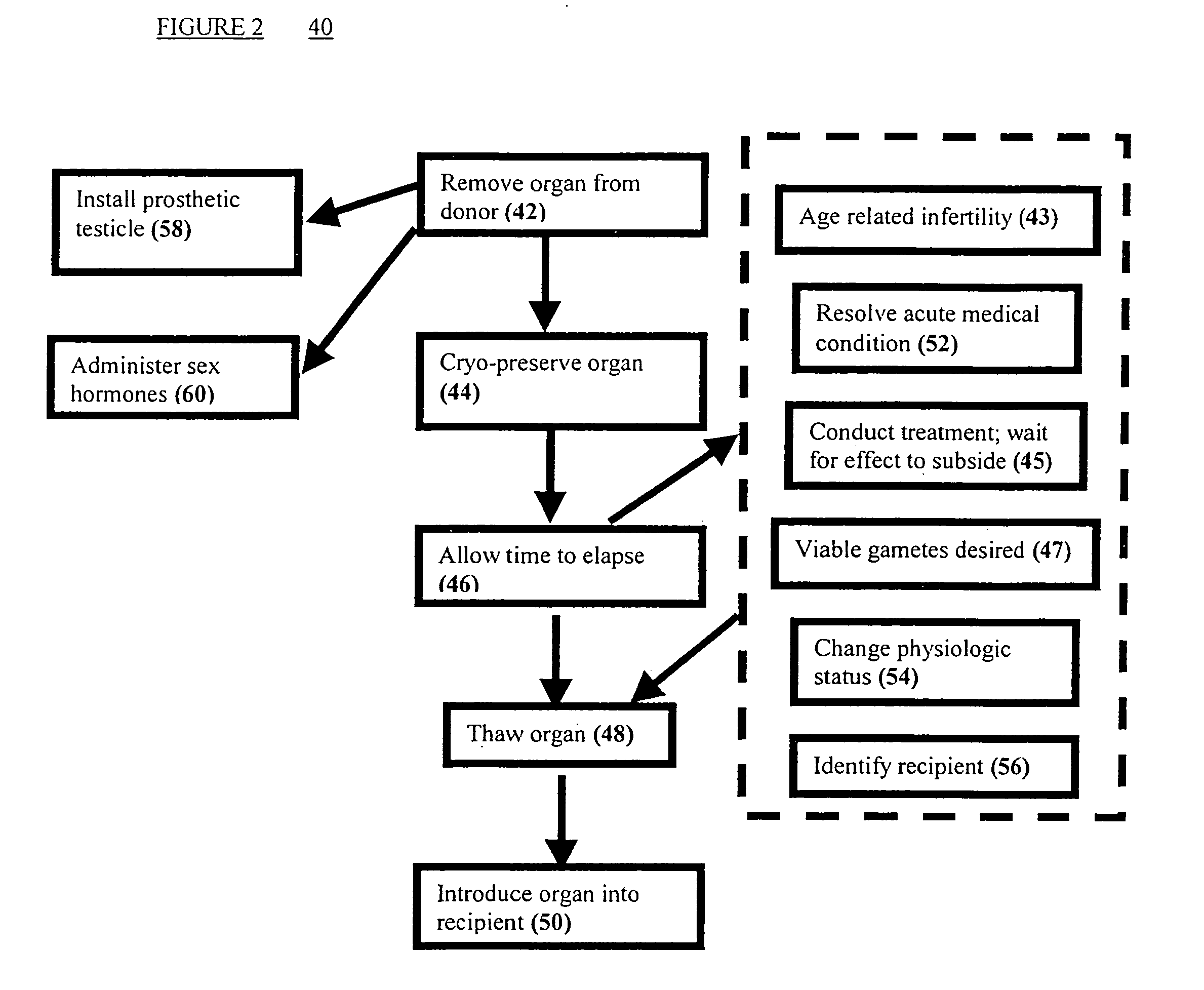 Methods of preserving functionality of an organ, preserving fertility of a patient undergoing a treatment expected to cause sterility and assuring a supply of viable gametes for future use