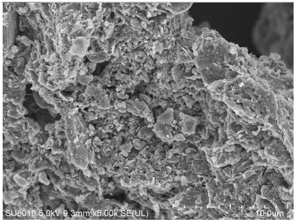 Method for activating persulfate with sludge-based biochar and synergistically removing tetracycline in water